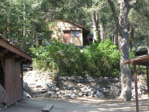 cabin.jpg