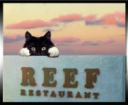 2013ReunionReef/Munchkin2.jpg