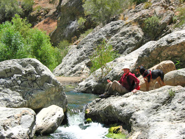 ANIMALS/BaileyPiru_Creek_Hike.jpg