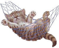 ANIMALS/CatinHammock.gif