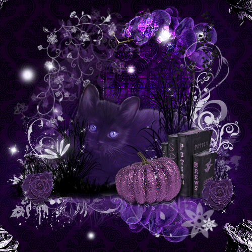 Halloween/HallLadyActuallyCat.gif