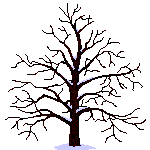 Seasons.jpg