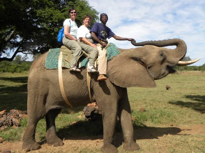 Travel/JaneRidingElephant700.jpg