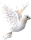 dove.gif